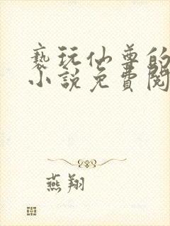 亵玩仙尊的道侣小说免费阅读