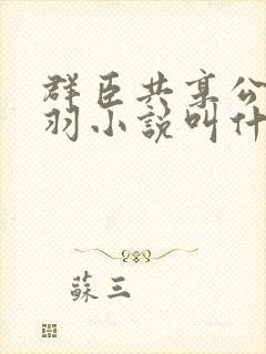 群臣共享公主银羽小说叫什么