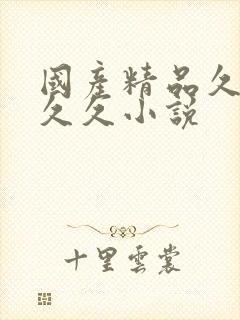 国产精品久久久久久小说