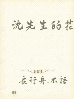 沈先生的花式调