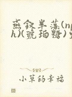 燕钗半落(nph)(琥珀糖)更新