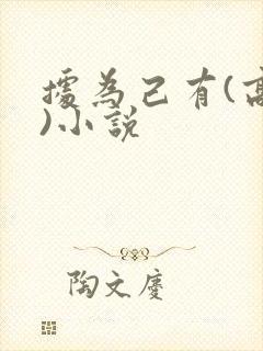 据为己有(高干)小说