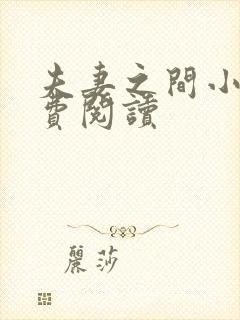 夫妻之间小说免费阅读