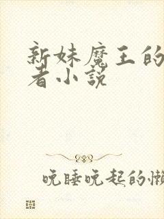 新妹魔王的契约者小说