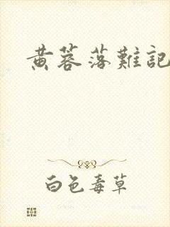 黄蓉落难记阅读