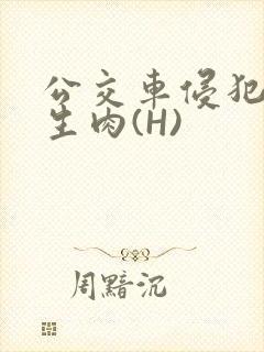 公交车侵犯小男生肉(H)