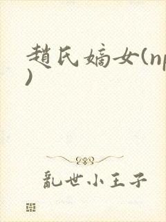 赵氏嫡女(np)