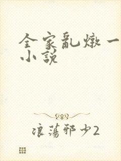 全家乱炖一锅烩小说