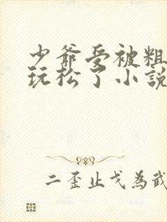 少爷受被粗汉H玩松了小说