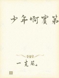 少年啊宾第二部