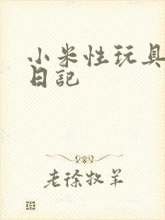 小米性玩具羞辱日记