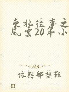 东北往事之黑道风云20年小说