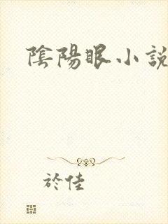 阴阳眼小说封面