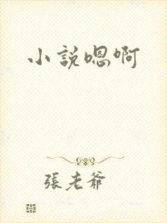 小说嗯啊