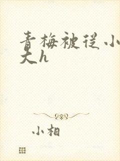 青梅被从小摸到大h