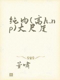 纯肉(高h.np)大尺度