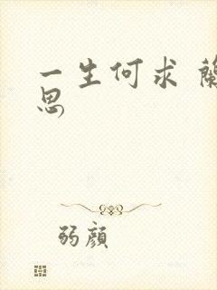 一生何求 兰思思