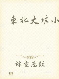 《东北大坑小说》小说封面