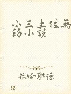 小三上位无三观的小说