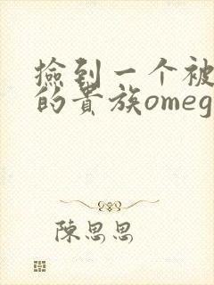 捡到一个被抹布的贵族omega