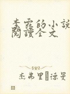 李霖的小说免费阅读全文