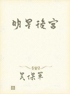 明星后宫