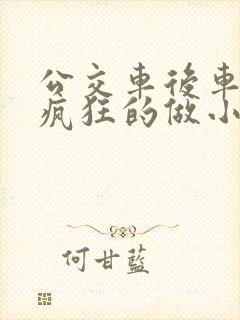 公交车后车座的疯狂的做小