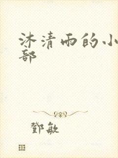 沐清雨的小说全部