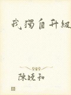 我独自升级小说