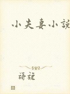 小夫妻小说封面