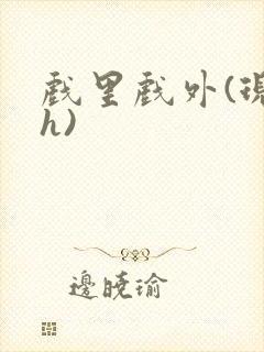 戏里戏外(现场h)