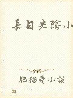 长日光阴小说
