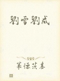 刘雪刘成封面