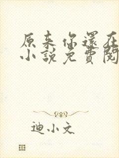原来你还在这里小说免费阅读