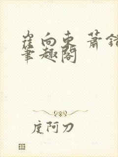 崔向东 萧错 笔趣阁