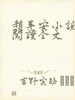 赵平安小说免费阅读全文