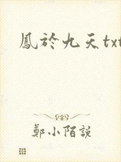 凤于九天txt