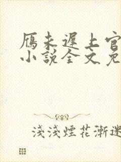 雁未迟上官穿越小说全文免费阅读