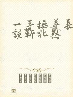 一手抚养长大小说靳北然