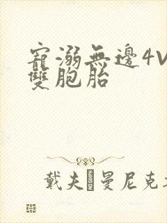 宠溺无边4V2双胞胎