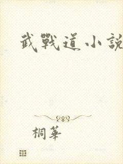 武战道小说