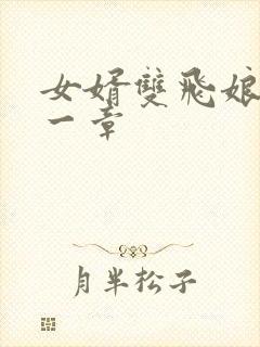 女婿双飞娘俩第一章