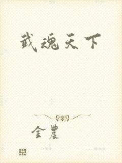 武魂天下