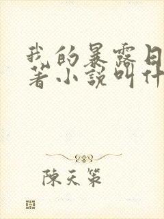 我的暴露日记原著小说叫什么