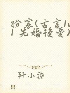 盼寡(古言1v1 先婚后爱)