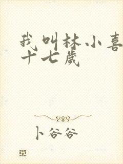 我叫林小喜今年十七岁