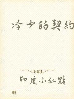 冷少的契约囚奴