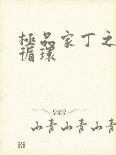 极品家丁之因果循环