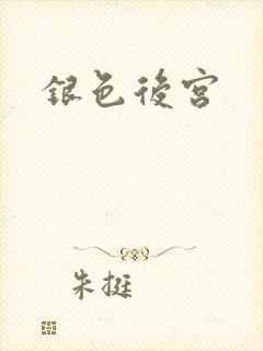 银色后宫