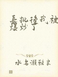 长批后我被宿敌爆炒了
